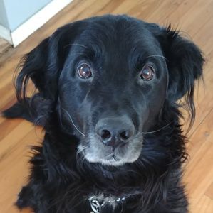 Meet your Posher, Caroline